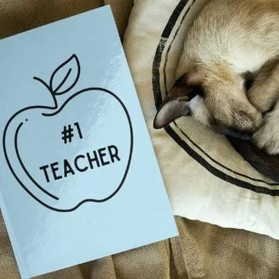 Light Blue #1 Teacher Hardcover Journal Matte