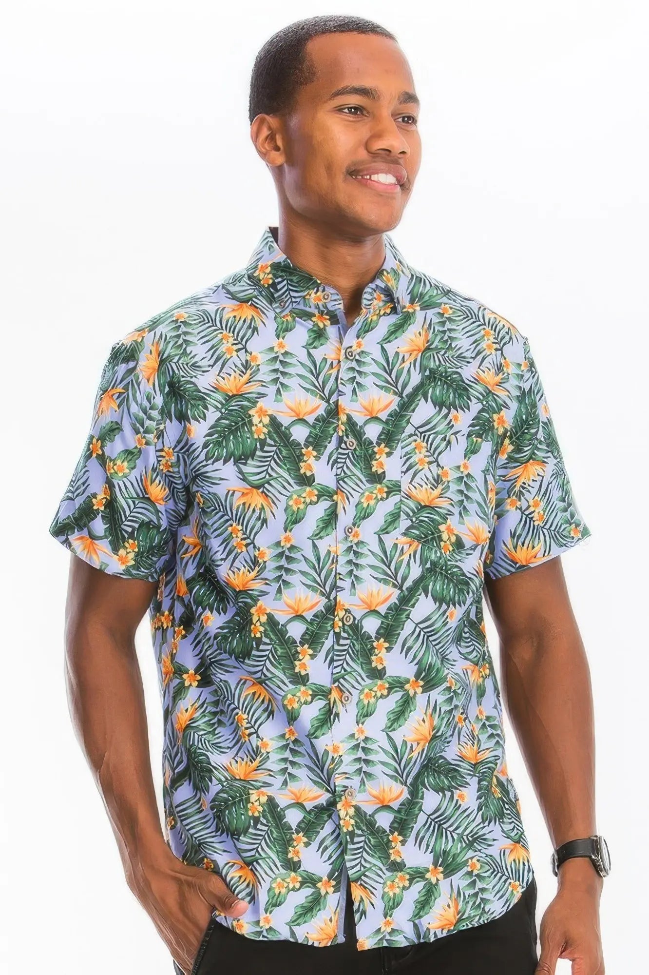Premium Shirts