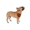 AnchorFinds.com Pets 27" × 13" Dog Paw Pumpkin Bandana: Style and Comfort for Your Pet